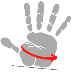  Illustration of the inner surface of a hand. A red arrow marks the location to measure the distance around the hand.